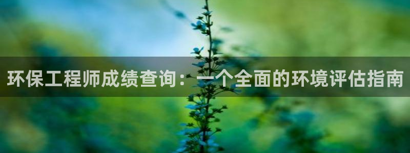 彩名堂客户端是永久免费吗安全吗：环保工程师成绩查询：一个全面