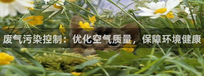 彩名堂免费计划官网5.0.0：废气污染控制：优化空气质量，保