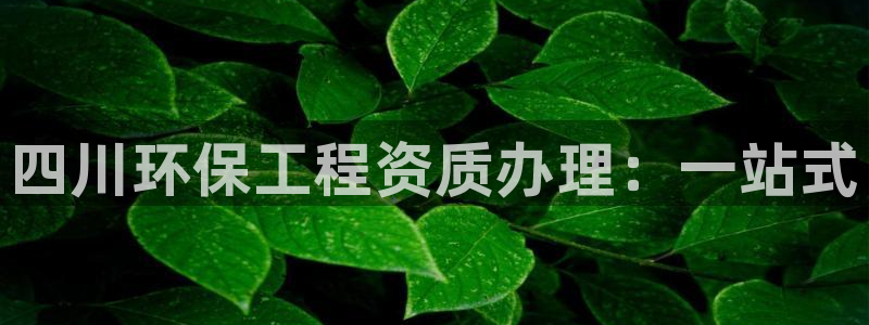 彩名堂是不是坑人的东西：四川环保工程资质办理：一站式