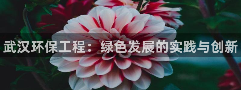 彩名堂客户端是永久免费吗是真的吗：武汉环保工程：绿色发展的实