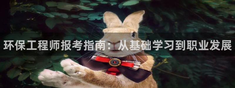 彩名堂免费计划客户端官网：环保工程师报考指南：从基础学习到职