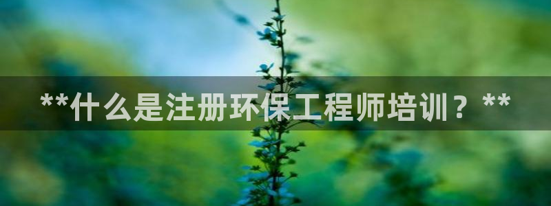 彩名堂计划技巧有哪些：**什么是注册环保工程师培训？**
