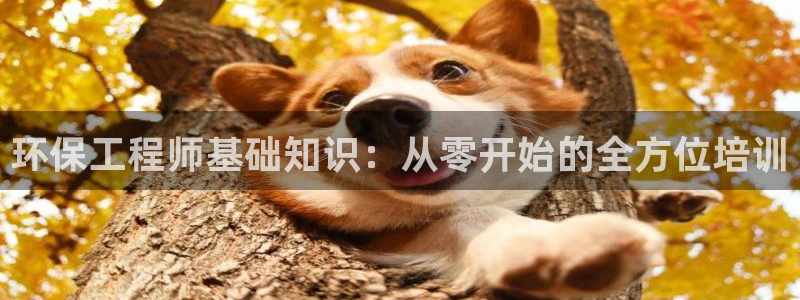 彩名堂官网计划客户端：环保工程师基础知识：从零开始的全方位培