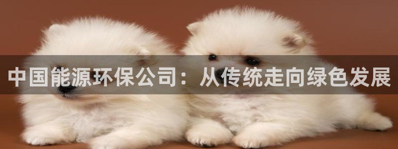 彩名堂使用方法：中国能源环保公司：从传统走向绿色发展