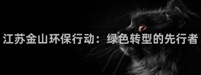 彩名堂5.0版计划怎么用不了：江苏金山环保行动：绿色转型的先