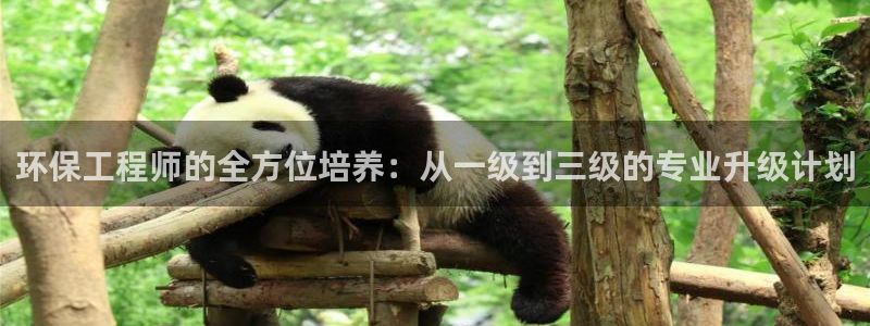 彩名堂客户端是永久免费吗是真的吗：环保工程师的全方位培养：从