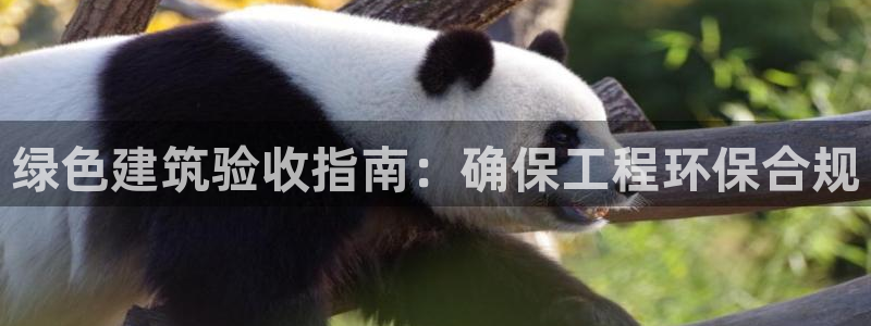 彩名堂预测免费计划怎么看的：绿色建筑验收指南：确保工程环保合
