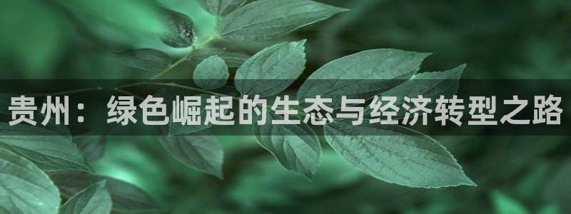 彩名堂手机客户端怎么下载：贵州：绿色崛起的生态与经济转型之路