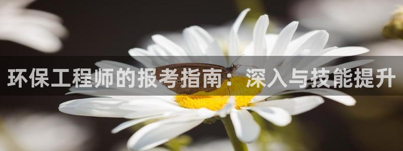 彩名堂客服：环保工程师的报考指南：深入与技能提升